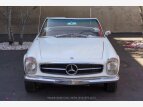 Thumbnail Photo 0 for 1967 Mercedes-Benz 250SL